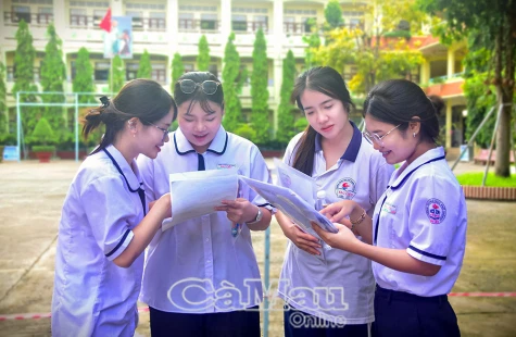 Cà Mau nằm trong top 10 tỉnh có điểm trung bình cao nhất cả nước