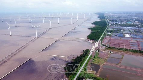 Khẩn trương nâng cấp đê biển Đông