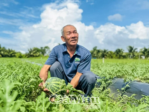 Mô hình tiền triệu giữa lòng đô thị hóa