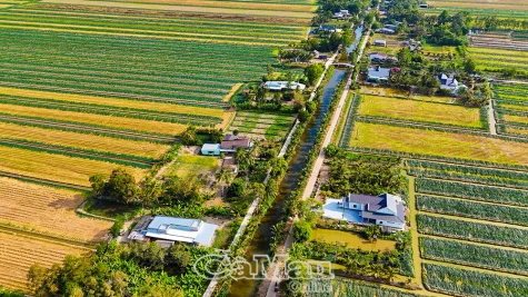 Xanh những mùa rau màu, ấm những mái nhà