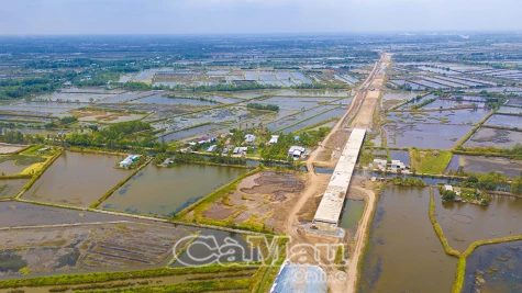 Cao tốc Cà Mau - Đất Mũi yêu cầu khẩn trương tiến độ