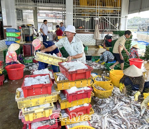 Chống khai thác IUU: Kiên quyết và mềm dẻo