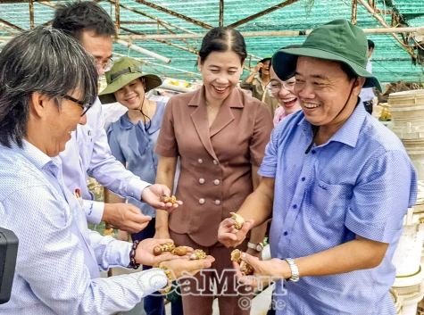 Mô hình bạc tỷ giữa thời biến đổi khí hậu