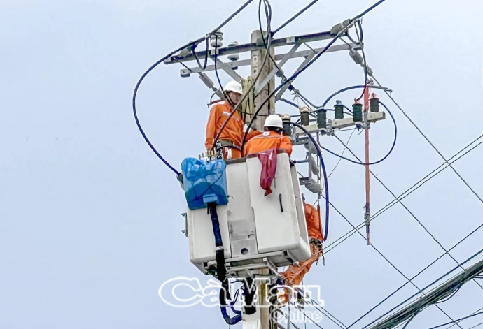 Công ty Điện lực Cà Mau tinh gọn để nâng cao hiệu quả