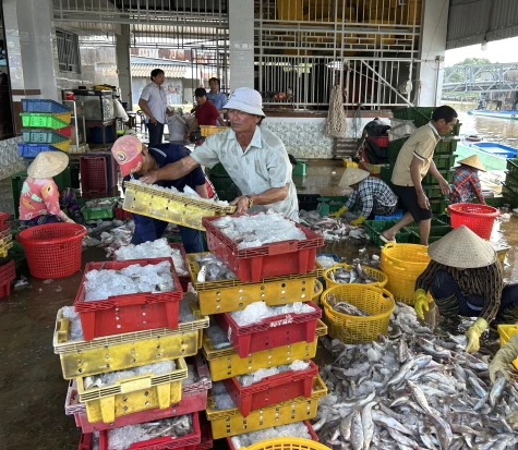 Chống khai thác IUU: Kiên quyết và mềm dẻo