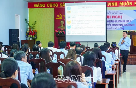 BHXH Cà Mau phổ biến luật mới cho các đơn vị sử dụng lao động