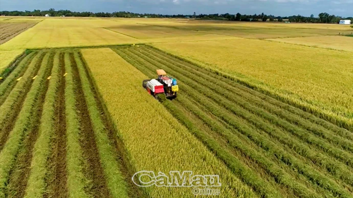 Xã Vĩnh Thanh: Cơ giới hoá toàn diện nông nghiệp