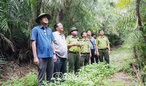 Không chủ quan, mất cảnh giác với công tác bảo vệ rừng