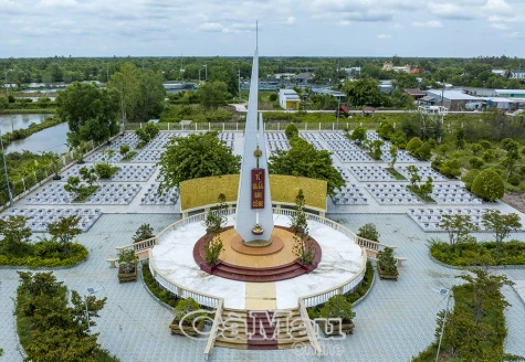 Hơn 30.000 đóa hoa bất tử!