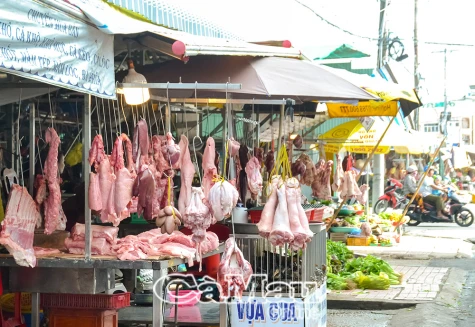 Giá heo hơi sụt giảm sau nhiều tháng tăng