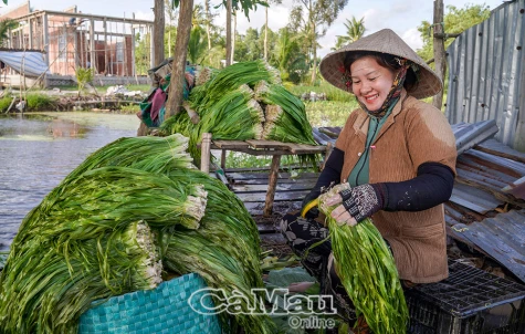 Hái “lộc trời” mùa nước lên