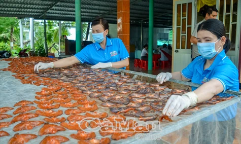 Quyết tâm hoàn thành tổng điều tra nông thôn, nông nghiệp trước hạn