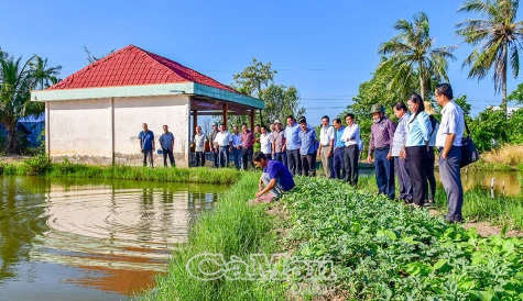 "Vị ngọt" từ sự đổi thay