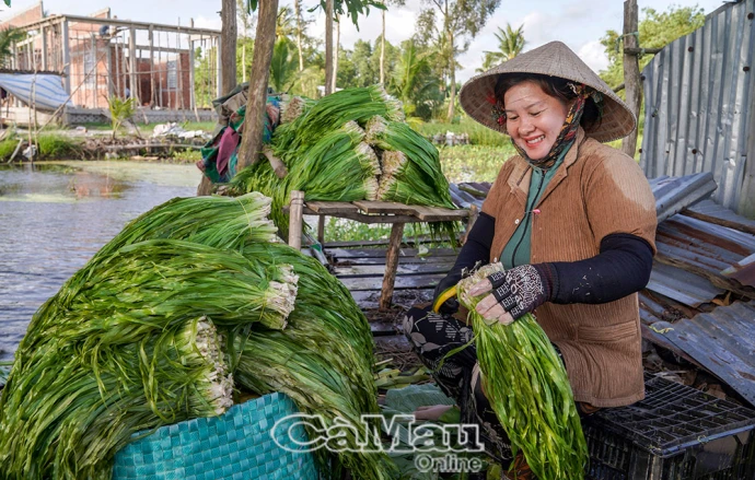 Hái “lộc trời” mùa nước lên