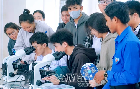 Trường Đại học Bạc Liêu công bố ngưỡng đầu vào tuyển sinh 2025