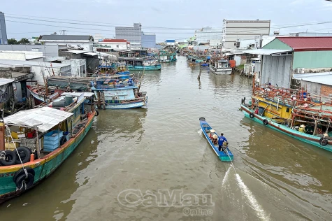 Tuân thủ cập cảng - “Chìa khóa” cho nghề cá bền vững