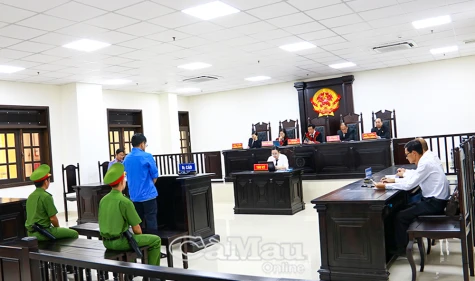 Giám đốc lừa bán đất người khác, lĩnh 8 năm tù