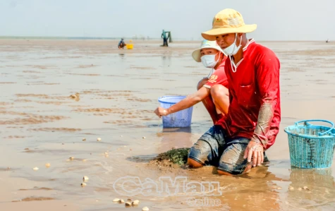 “Mái ấm” của những hộ nghèo sống ven biển