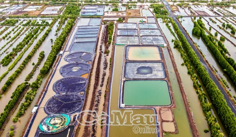 Tạo đột phá cho tăng trưởng năm 2025