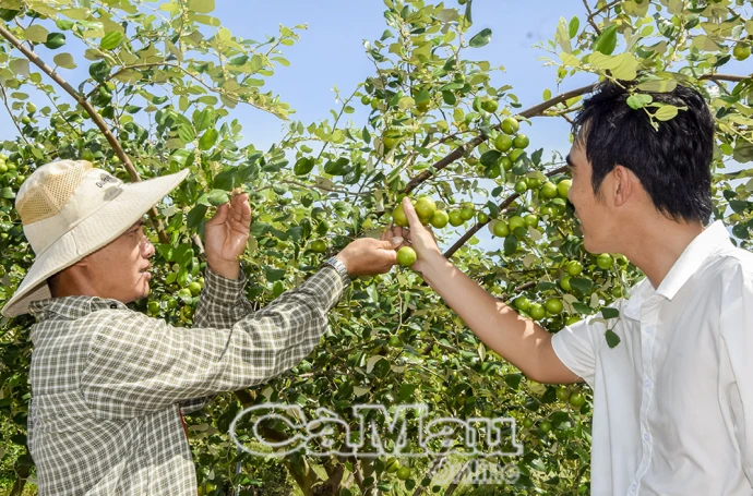 Nâng cao trách nhiệm để phục hồi nguồn cá đồng