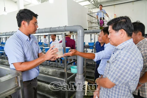 Phó Chủ tịch UBND tỉnh Lê Văn Sử khảo sát mô hình nuôi cá rô phi tại Tp Cần Thơ