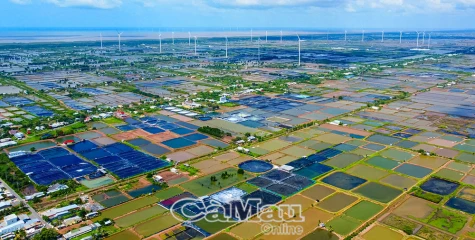 Biển bạc Cà Mau – Trụ cột phát triển vùng đất cực Nam