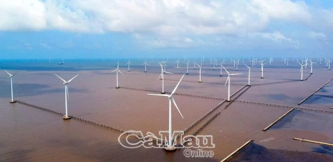 Biển Cà Mau - Sức bật mới từ thuỷ sản, điện gió và du lịch