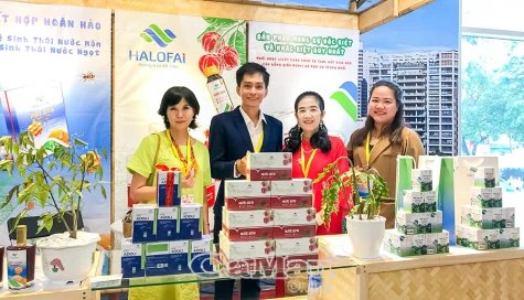 Phát triển kinh tế tư nhân - Khát vọng "hoá Gióng" - Bài 2: "Đêm trước" Nghị quyết 68