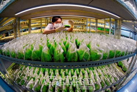 Ứng dụng công nghệ tạo sức bật kinh tế mạnh mẽ