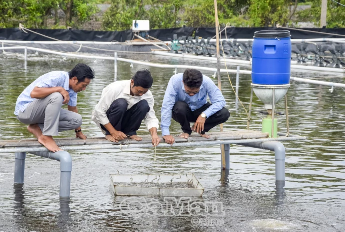 Nguyễn Việt Khái - Phủ xanh đất mặn, phát triển thủy sản bền vững 