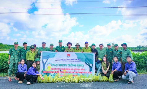 Chung tay phủ xanh rừng ngập mặn               