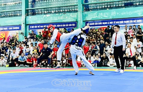 Gần 500 võ sinh tranh tài Giải Taekwondo các Câu lạc bộ tỉnh Cà Mau năm 2025