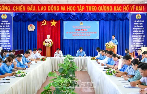 Liên đoàn Lao động góp ý văn kiện Đại hội đại biểu Đảng bộ tỉnh