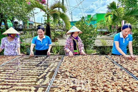 Phong Hiệp vươn lên với nhiều mô hình kinh tế hiệu quả