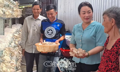 Từ nghề bán vé số đến trại nấm bạc triệu