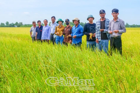Nông nghiệp phát huy vai trò "trụ đỡ" tăng trưởng kinh tế