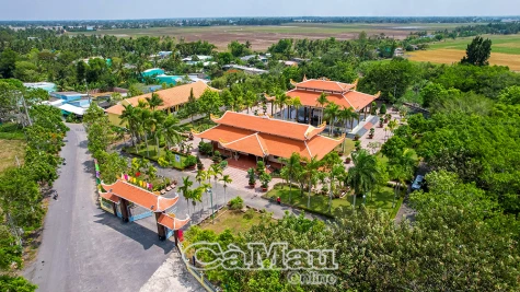 Mùa vú sữa trên miền quê mới