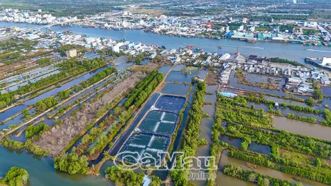 Khi "Thủ phủ tôm" căng buồm ra biển lớn - Bài 3: Ðồng hành vượt thách thức, xoá rào cản