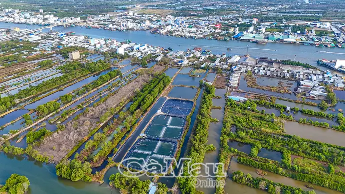 Khi "Thủ phủ tôm" căng buồm ra biển lớn - Bài 3: Ðồng hành vượt thách thức, xoá rào cản