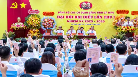 Nhiều ý kiến tâm huyết, trách nhiệm tai Phiên trù bị Đại hội Đại biểu Đảng bộ các cơ quan Đảng tỉnh Cà Mau lần I