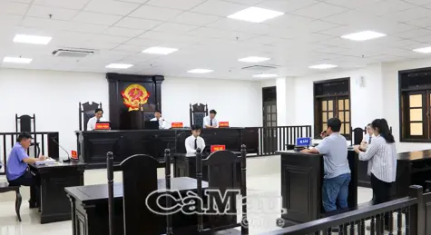 Giữ nguyên án tù kẻ cầm đầu đường dây làm giấy tờ giả ở Cà Mau