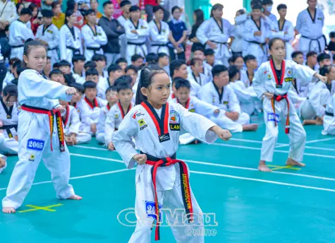 Trên 690 võ sinh tham gia Kỳ thi thăng đẳng Taekwondo năm 2025