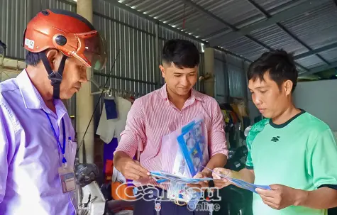 Diệt muỗi vằn để phòng bệnh sốt xuất huyết và bệnh chikungunya