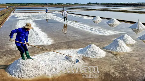  Xã Long Điền phấn đấu xây dựng đô thị loại V