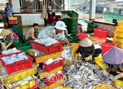 Sức sống mới đô thị ven biển