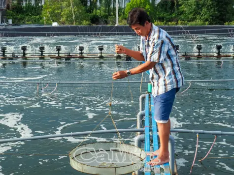 Nguyễn Việt Khái: Phát huy thế mạnh kinh tế thuỷ sản