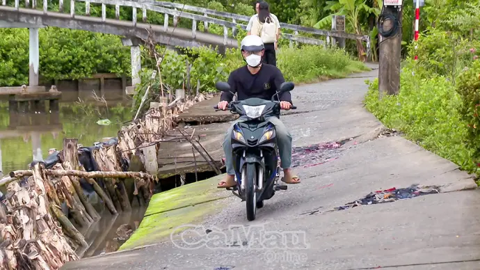 Nguy hiểm từ những tuyến lộ sạt lở ở Cái Nước