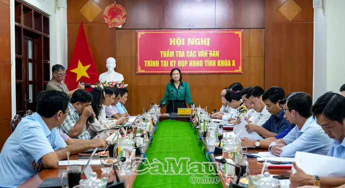Ban Kinh tế - Ngân sách HĐND tỉnh thẩm tra văn bản trình Kỳ họp thứ 3