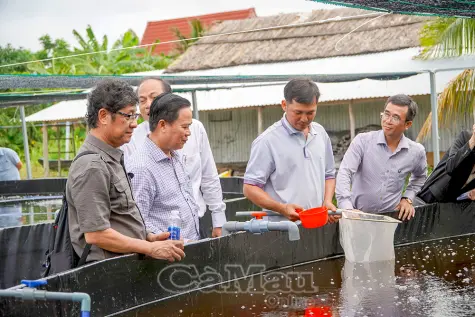 Gỡ khó cho HTX, thúc đẩy phát triển kinh tế nông nghiệp