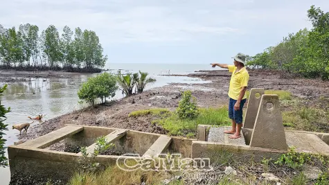Xã Tân Ân đối mặt nỗi lo sạt lở ven sông, ven biển